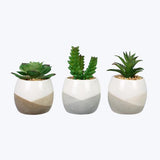 Ceramic planter with succulents