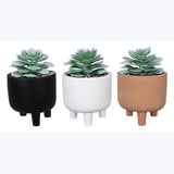 FINAL SALE - Greenery, 3 Ast. Ceramic Pot