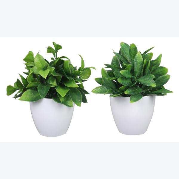 Artificial Plants in  Planter