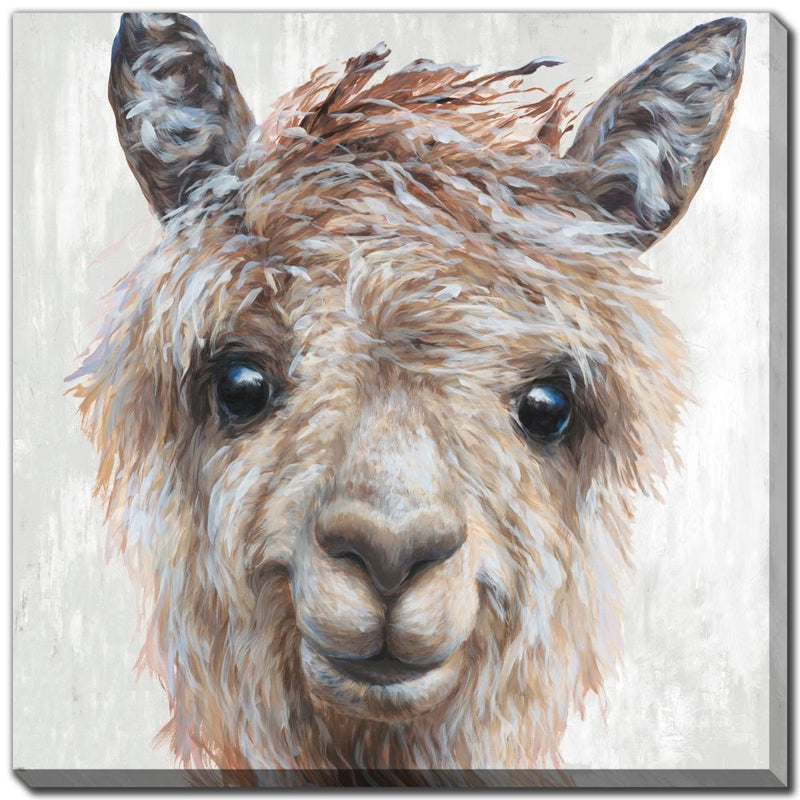 Alpaca II 24x24