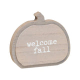 FINAL SALE - Welcome 3D Washed Pumpkin