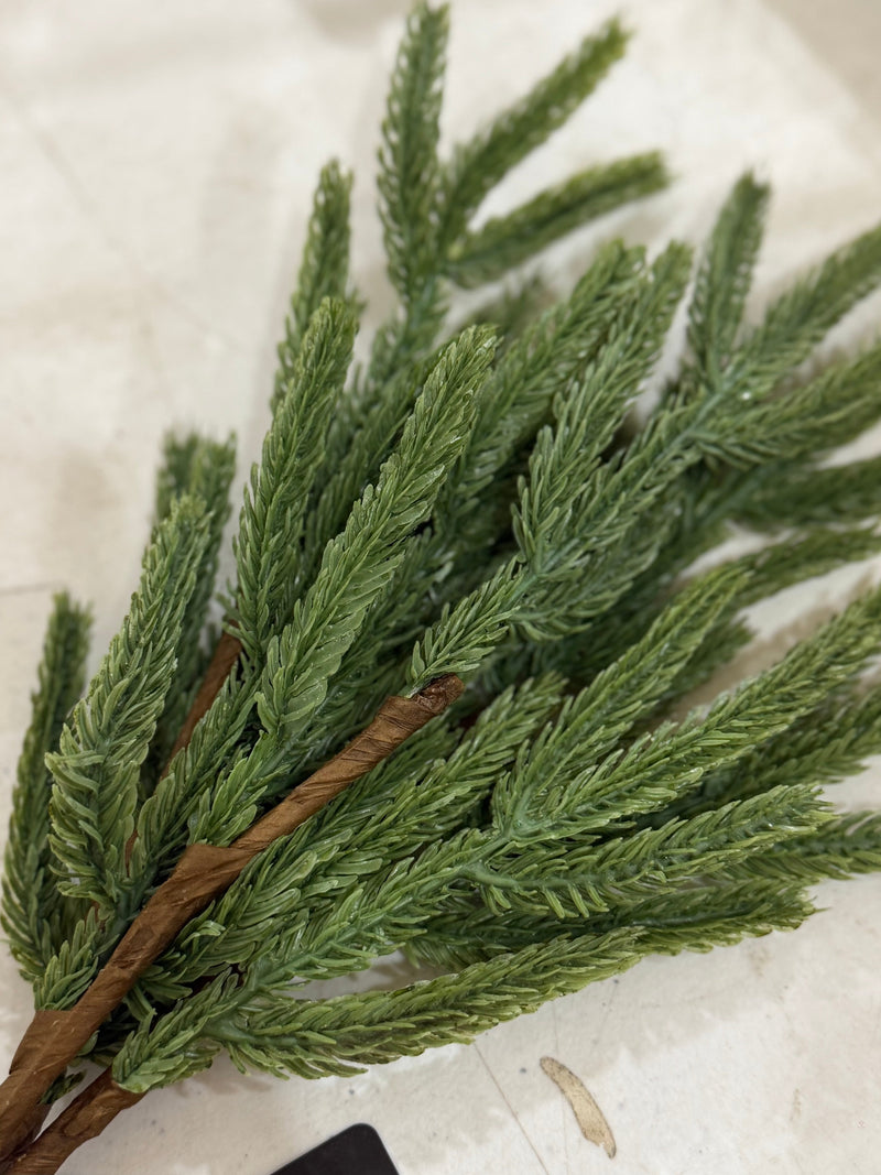 14" Evergreen Pick