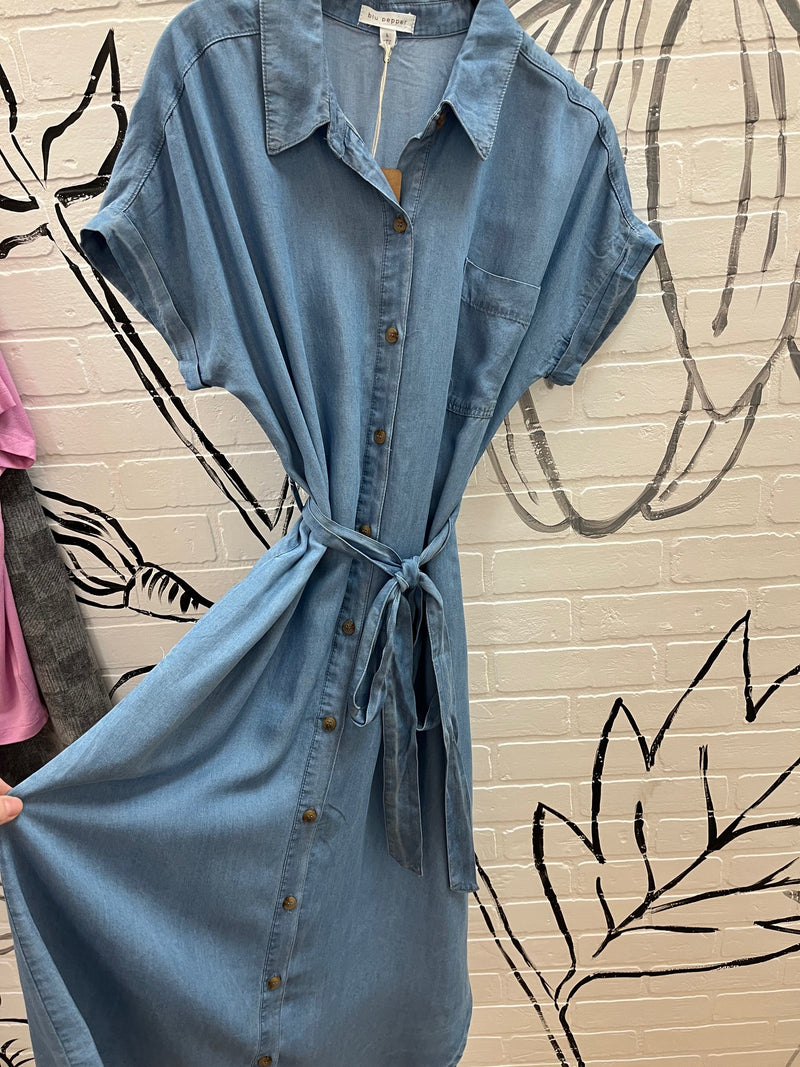 Blue Belted Dress, Midi