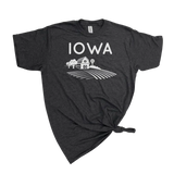 Iowa Farmland Graphic