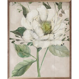 Garden Elegance I