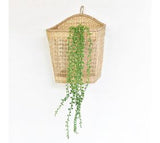 *inner* Dusty Hanging Greens