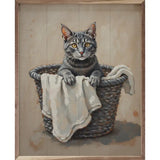 Gray Cat In Laundry Basket