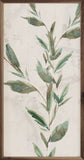 Botanical Panel 2 One Vine