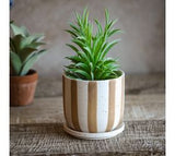 4.5 Matte Brown Stripe Ceramic Planter