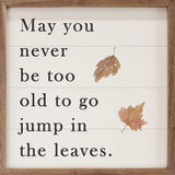 May You Never Be Too Old 4x4