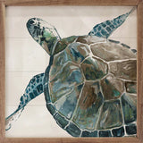 Neutral Turtle Ii
