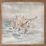 Washed Ashore I
