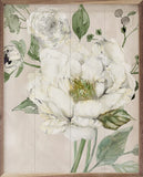Garden Elegance Ii
