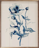 Indigo Wild Rose Ii