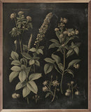 Vintage Neutral Floral Print Black