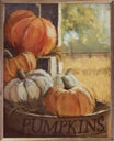 8x10 Vintage Pumpkins 4 By Nina Blue