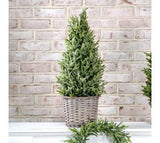 24 Glitter Topiary In Basket