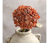 25 Orange Hydrangea Branch