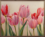 Pink Tullips White