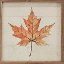 8x8 Maple Leaf