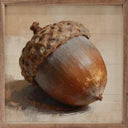 8x8 Acorn