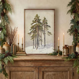 Group Of Cedar Trees - 16x24