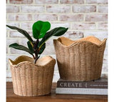 S/2 Basket Weave Cement Planters
