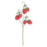 Long Plush Strawberry Pick
