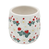Small Strawberry Planter