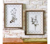 2 Asst Gold Framed Plant Prints