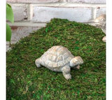 *inner* 4.5 Gold Wash Garden Turtle