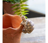 *inner* 3 Polyresin Turtle Pot Hanger