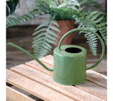 Laurel Green Modern Metal Watering Can