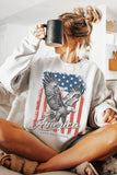 American Flag Eagle Graphic Sweatshirt