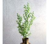 *inner* 26 Eucalyptus Bunch