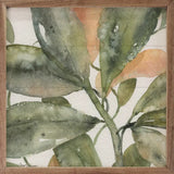 Plant Life I