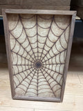 Spider Web Brown
