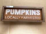 Pumpkins Locally Harvested Orange