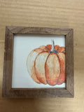 Offset Orange Pumpkin White