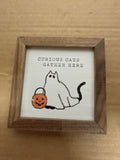 Curious Cats Gather Here White