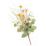 Apricot Little Daisy Pick