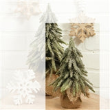 Short Simple Fir Tree - Ts