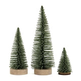 Green Bottlebrush Trees