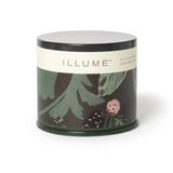 Candle - Blackberry Absinthe Demi Vantiy Tin