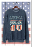 America 76 Mineral Graphic Sweatshirts