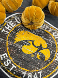 Iowa Circle Logo Sweatshirt