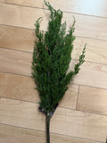 *inner* 26 Cedar Green Spray