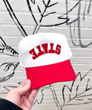 Isu Backward Trucker Hat
