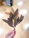 16bay Leaf Spray Br/tt