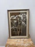 FINAL SALE - 2 ASST. BOTANICAL WALL ART